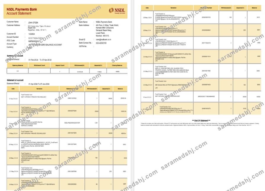INDIA NSDL bank statement template, Word and PDF format